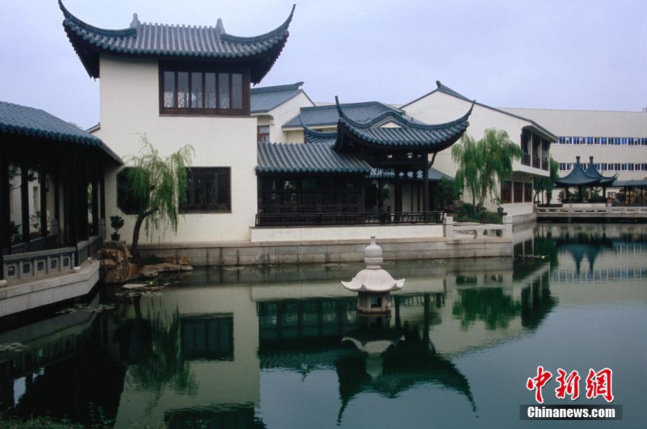 ����ɽ���ൺ�������