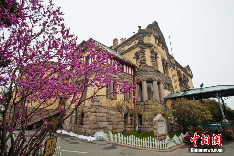 ����ɽ���ൺ�������