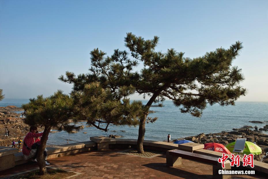 ����ɽ���ൺ�������