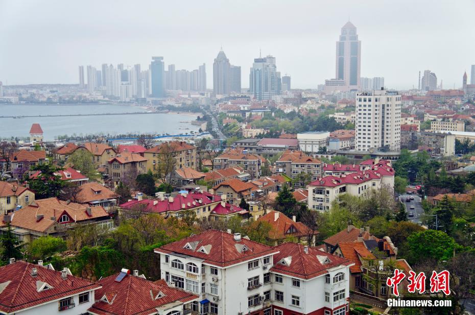 ����ɽ���ൺ�������